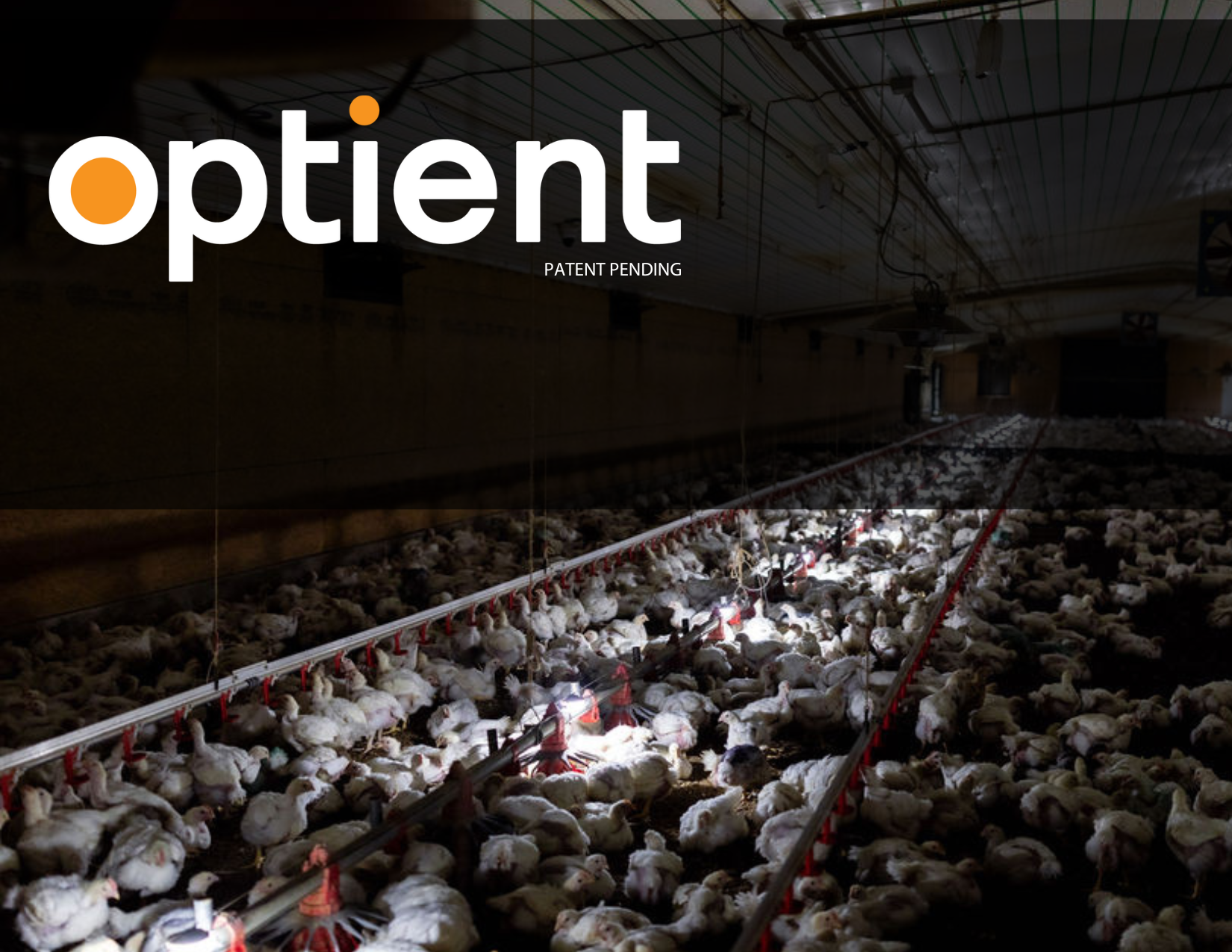 Introducing Optient