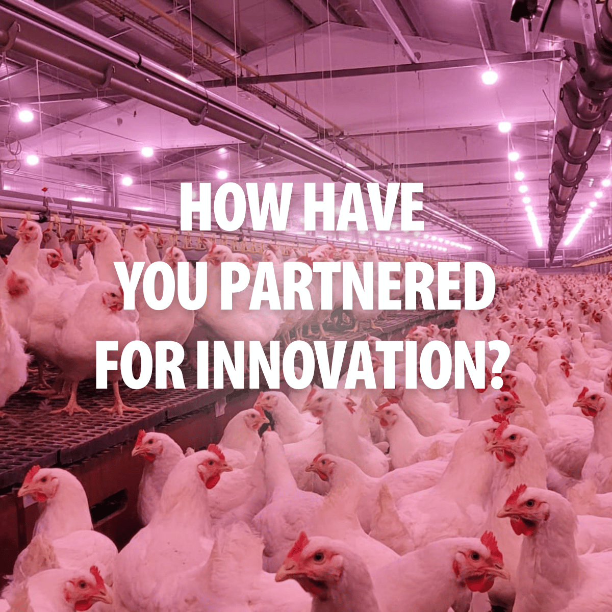 Partners for Innovation (2)