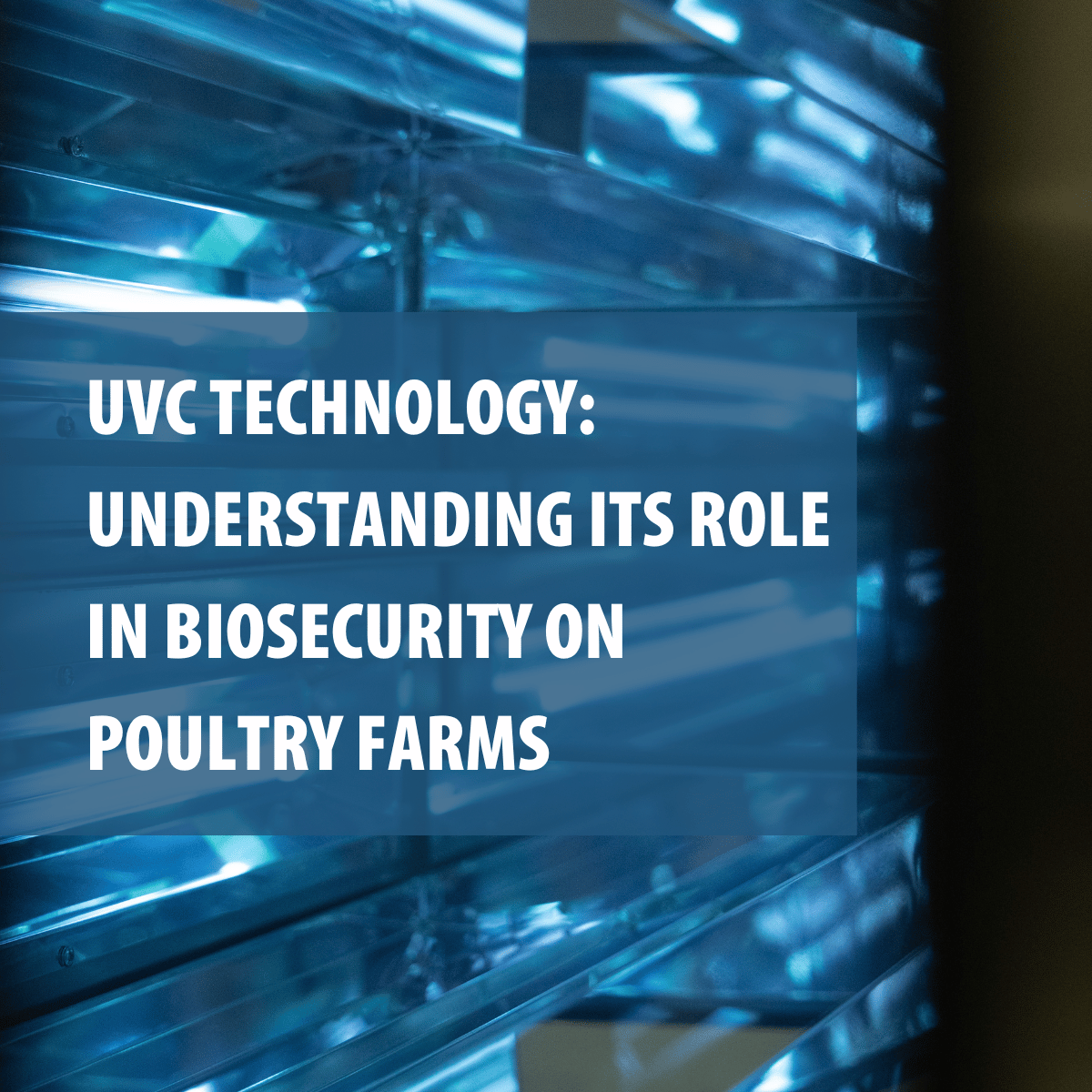 UVC technology Understanding its role in biosecurity on poultry farms
